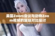 美国Zoom会议与动物Zoom视频的趣味对比探讨