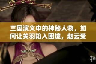 三国演义中的神秘人物，如何让关羽陷入困境，赵云受害，张飞被整，刘备诸葛亮无计可施