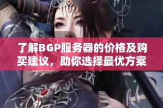 了解BGP服务器的价格及购买建议，助你选择最优方案