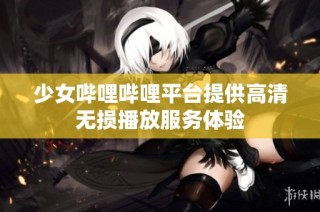 少女哔哩哔哩平台提供高清无损播放服务体验