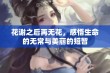 花谢之后再无花，感悟生命的无常与美丽的短暂