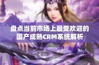 盘点当前市场上最受欢迎的国产成熟CRM系统解析