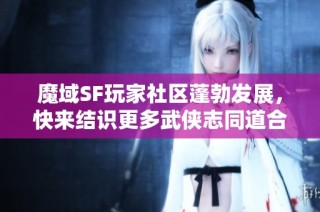 魔域SF玩家社区蓬勃发展，快来结识更多武侠志同道合伙伴