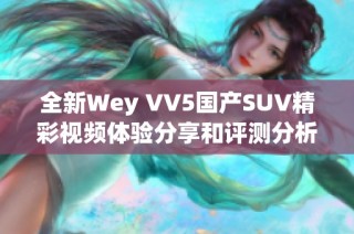 全新Wey VV5国产SUV精彩视频体验分享和评测分析