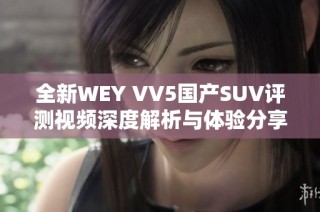 全新WEY VV5国产SUV评测视频深度解析与体验分享