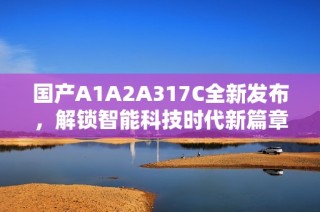 国产A1A2A317C全新发布，解锁智能科技时代新篇章