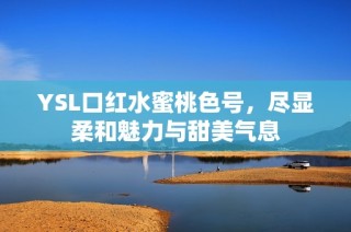 YSL口红水蜜桃色号，尽显柔和魅力与甜美气息