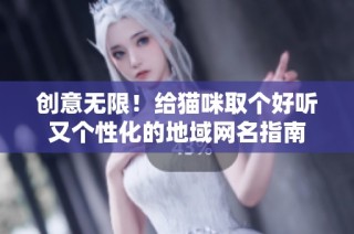 创意无限！给猫咪取个好听又个性化的地域网名指南