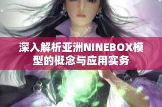 深入解析亚洲NINEBOX模型的概念与应用实务