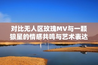 对比无人区玫瑰MV与一颗狼星的情感共鸣与艺术表达分析