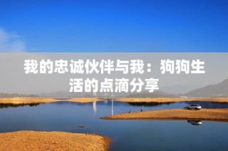 我的忠诚伙伴与我：狗狗生活的点滴分享