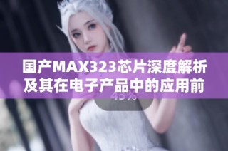 国产MAX323芯片深度解析及其在电子产品中的应用前景