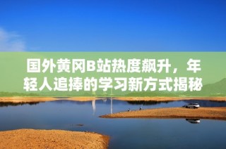 国外黄冈B站热度飙升，年轻人追捧的学习新方式揭秘