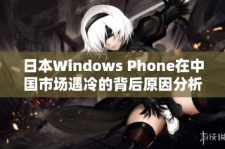 日本Windows Phone在中国市场遇冷的背后原因分析