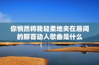 你悄然将我轻柔地夹在唇间的那首动人歌曲是什么