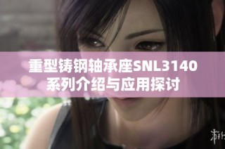 重型铸钢轴承座SNL3140系列介绍与应用探讨