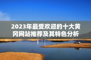 2023年最受欢迎的十大黄冈网站推荐及其特色分析