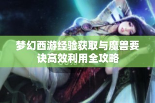 梦幻西游经验获取与魔兽要诀高效利用全攻略