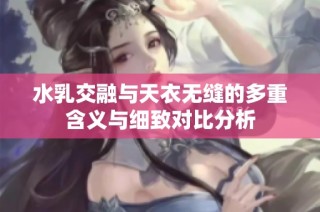 水乳交融与天衣无缝的多重含义与细致对比分析