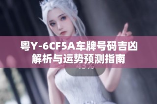 粤Y-6CF5A车牌号码吉凶解析与运势预测指南