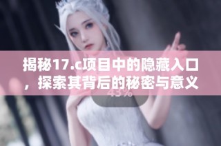 揭秘17.c项目中的隐藏入口，探索其背后的秘密与意义