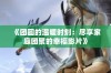 《团圆的温暖时刻：尽享家庭团聚的幸福影片》