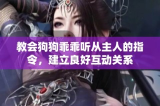 教会狗狗乖乖听从主人的指令，建立良好互动关系