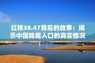 红桃38.47背后的故事：揭示中国隐藏人口的真实情况与影响