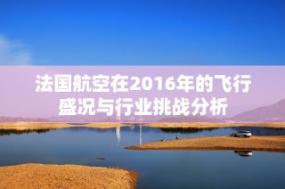 法国航空在2016年的飞行盛况与行业挑战分析