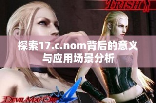 探索17.c.nom背后的意义与应用场景分析