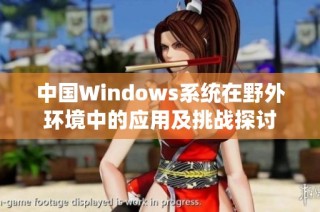 中国Windows系统在野外环境中的应用及挑战探讨