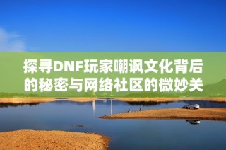 探寻DNF玩家嘲讽文化背后的秘密与网络社区的微妙关系