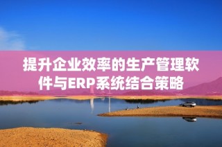 提升企业效率的生产管理软件与ERP系统结合策略