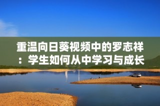 重温向日葵视频中的罗志祥：学生如何从中学习与成长