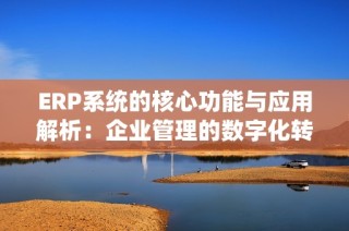 ERP系统的核心功能与应用解析：企业管理的数字化转型利器