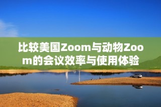 比较美国Zoom与动物Zoom的会议效率与使用体验