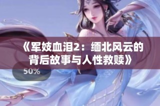 《军妓血泪2：缅北风云的背后故事与人性救赎》