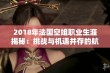 2018年法国空姐职业生涯揭秘：挑战与机遇并存的航空服务行业