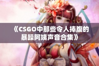 《CSGO中那些令人捧腹的暴躁阿姨声音合集》