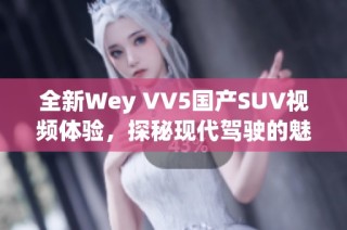 全新Wey VV5国产SUV视频体验，探秘现代驾驶的魅力与性能