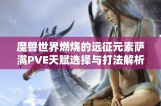 魔兽世界燃烧的远征元素萨满PVE天赋选择与打法解析