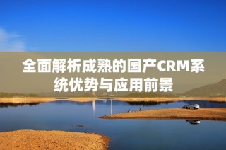 全面解析成熟的国产CRM系统优势与应用前景