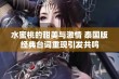 水蜜桃的甜美与激情 泰国版经典台词重现引发共鸣