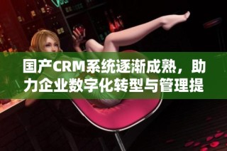 国产CRM系统逐渐成熟，助力企业数字化转型与管理提升