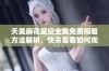 天美麻花星空全集免费观看方法解析，快来看看如何观看完整版！