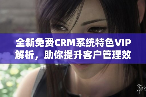 全新免费CRM系统特色VIP解析，助你提升客户管理效率