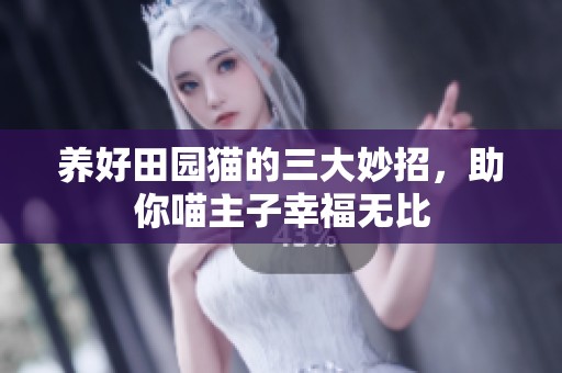 养好田园猫的三大妙招，助你喵主子幸福无比