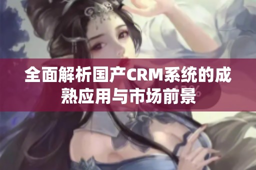 全面解析国产CRM系统的成熟应用与市场前景