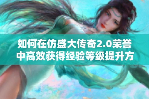 如何在仿盛大传奇2.0荣誉中高效获得经验等级提升方法解析