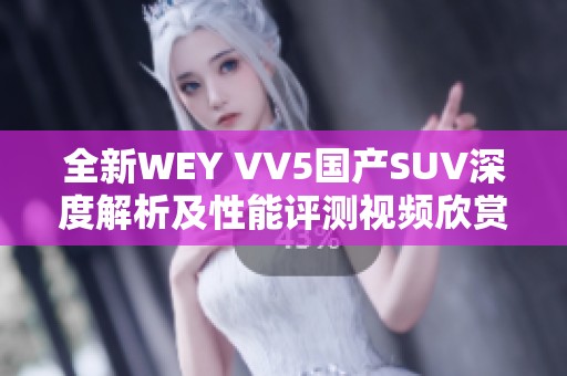 全新WEY VV5国产SUV深度解析及性能评测视频欣赏